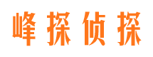 沅江市私家侦探